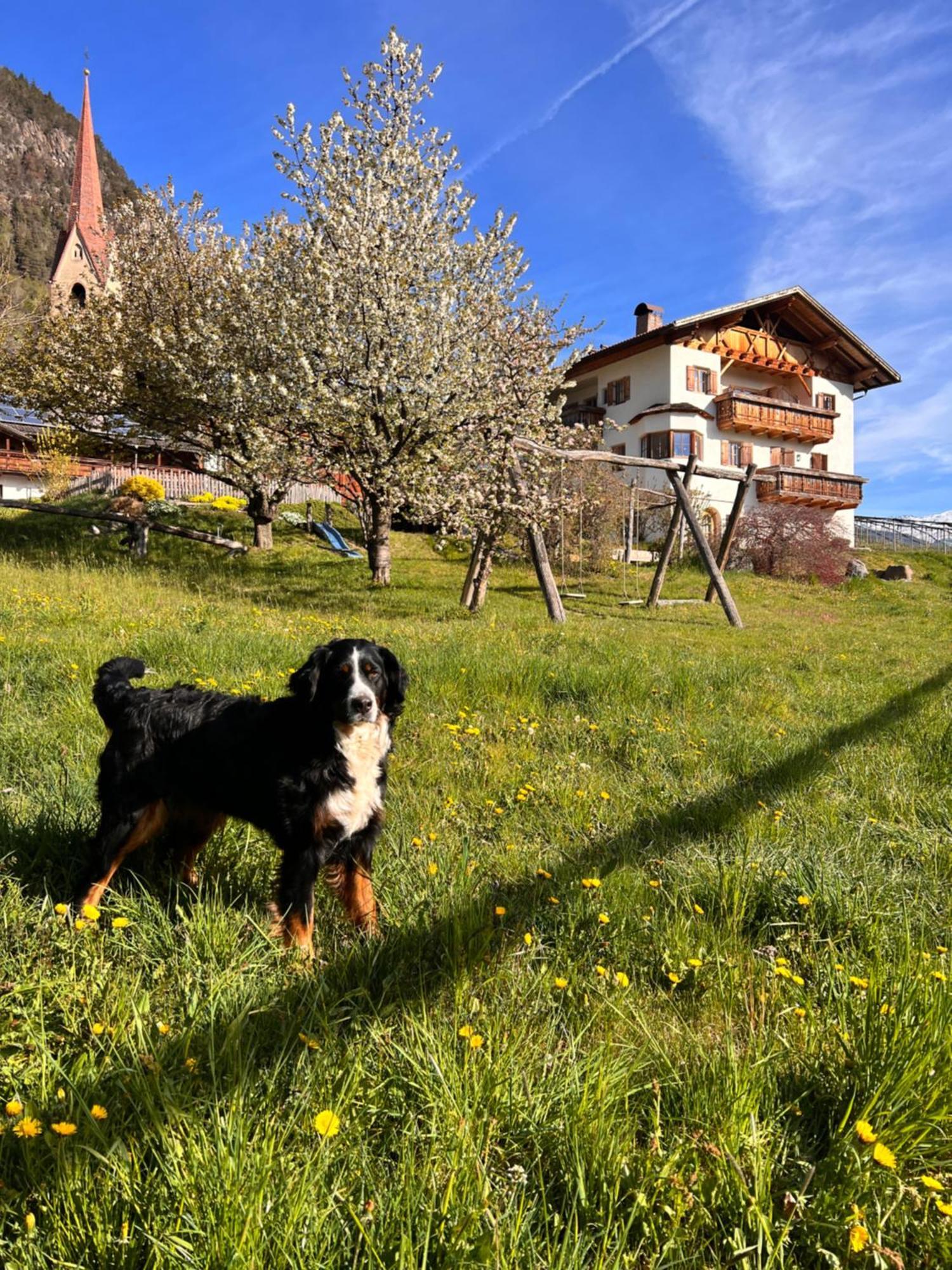 Gasserhof Barbiano  Exterior foto
