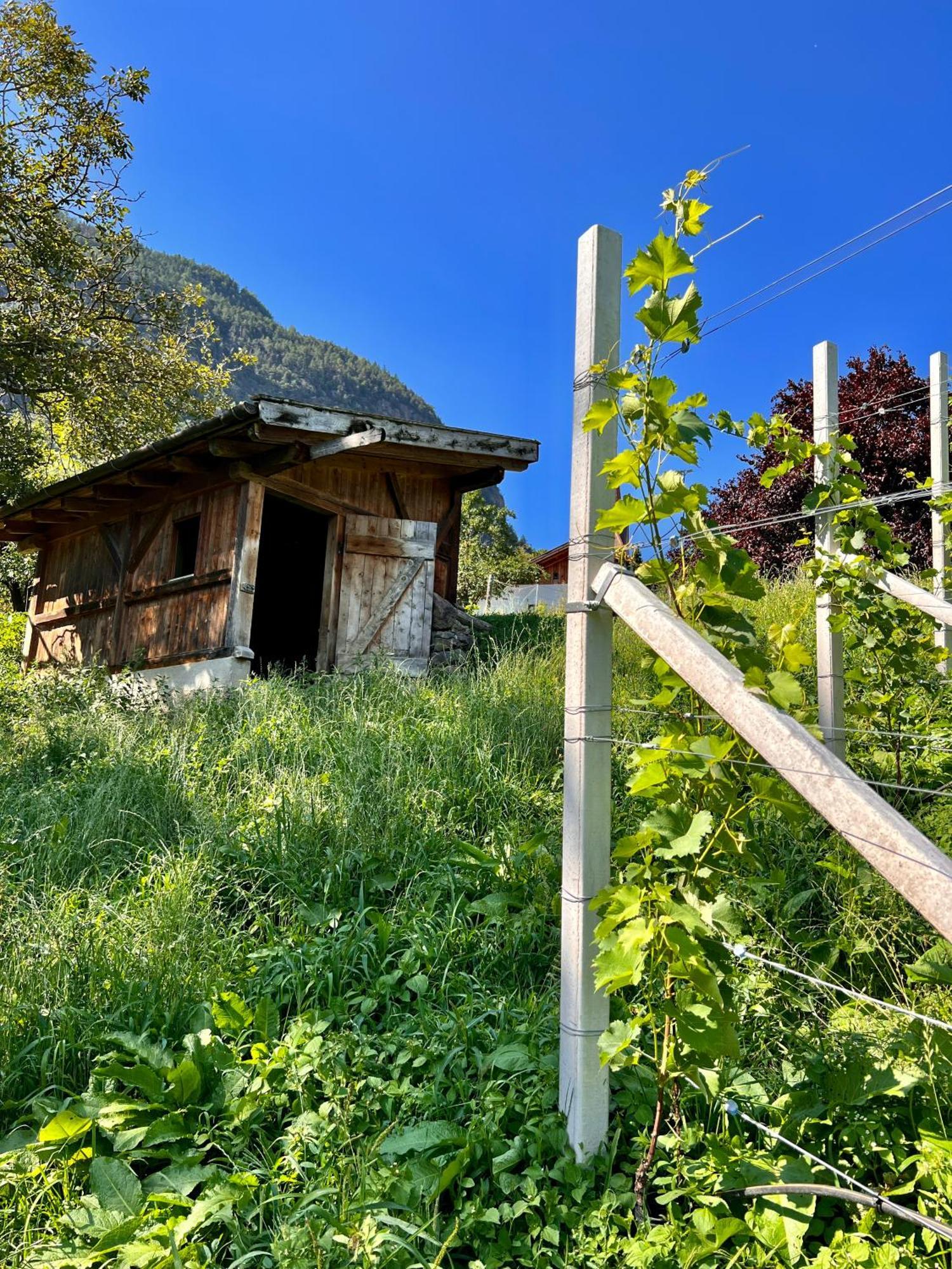 Gasserhof Barbiano  Exterior foto